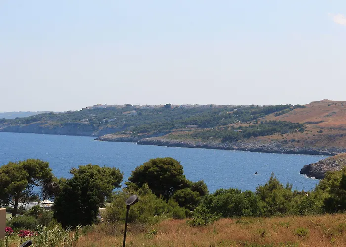 ホリデーパーク 19 Summer サンタ・チェザーレア・テルメ